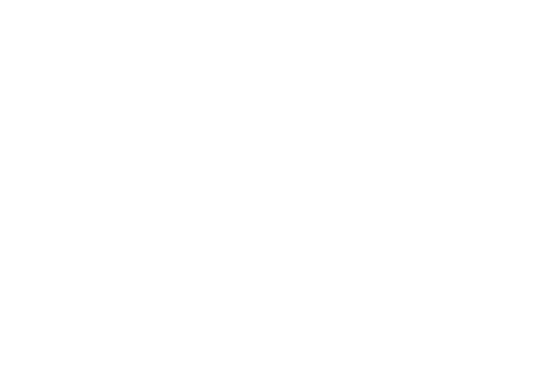 Red Beard Renovations and Remodel logo in white